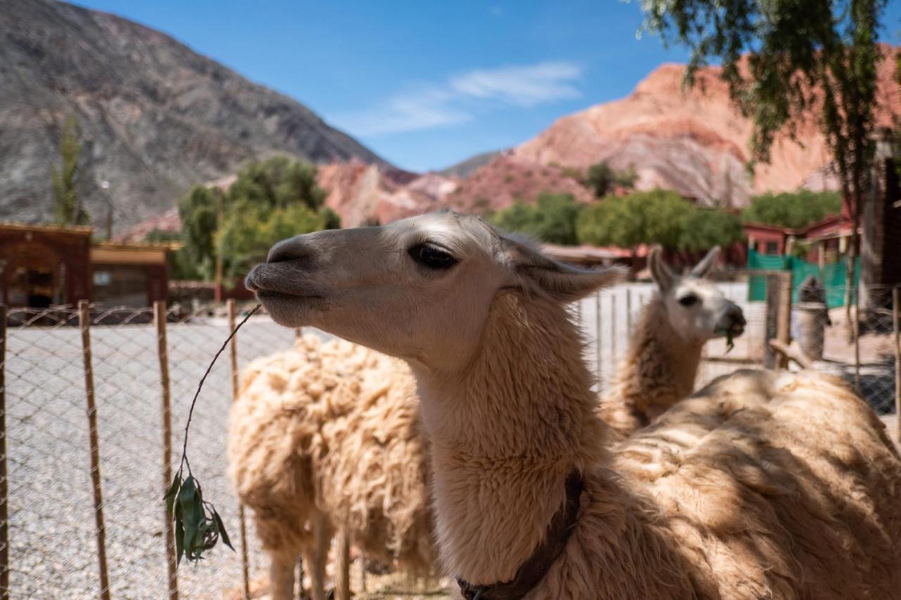 مبيت وإفطار Posta De بورماماركا المظهر الخارجي الصورة